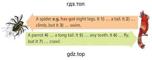 A spider e.g. has got eight legs. It 1) a tail. It 2) . climb, but it 3) ... swim. A parrot 4) ... a long tail. It 5) ... any teeth. It 6) fly but it 7) ... crawl.
