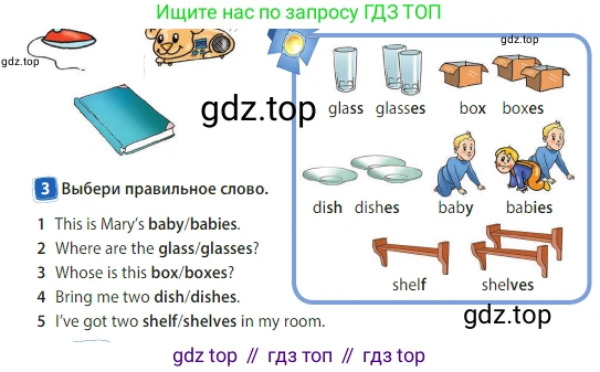 Английский язык (english), 3 класс Учебник (Student's book), авторы: Быкова Надежда Ильинична (Bykova Nadezhda), Дули Дженни (Dooley Jenny), Поспелова Марина Давидовна (Pospelova Marina), Эванс Вирджиния (Evans Virginia), издательство Просвещение, Москва, 2023, зелёного цвета, Часть 2, страница 28, номер 3, Условие