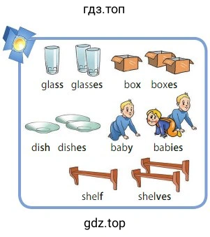 glass glasses box boxes dish dishes baby babies shelf shelves