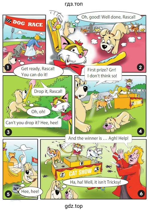 Dog Race