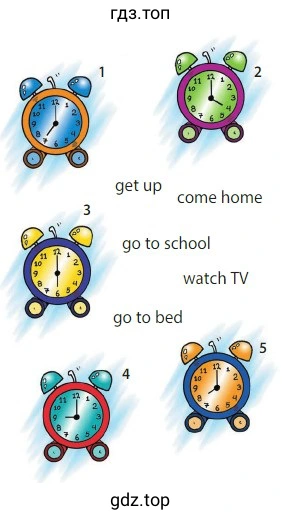 get up come home go to school watch TV go to bed