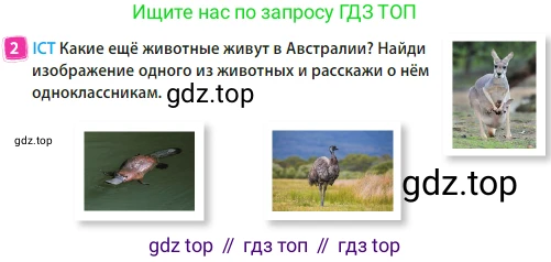 Английский язык (english), 3 класс Учебник (Student's book), авторы: Быкова Надежда Ильинична (Bykova Nadezhda), Дули Дженни (Dooley Jenny), Поспелова Марина Давидовна (Pospelova Marina), Эванс Вирджиния (Evans Virginia), издательство Просвещение, Москва, 2023, зелёного цвета, Часть 2, страница 81, номер 2, Условие