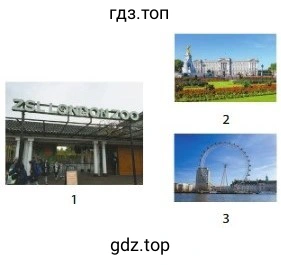 Рисунок 1-3