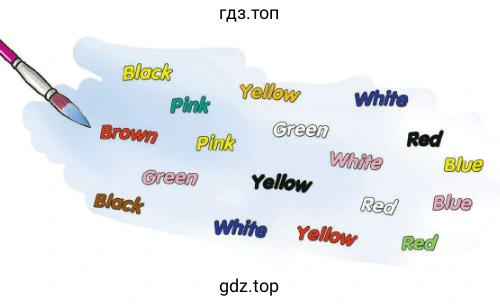 Black Green Yellow Red Brown White Pink