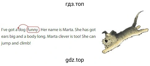 I've got a dog funny. Her name is Marta. She has got ears big and a body long. Marta clever is too! She can jump and climb!