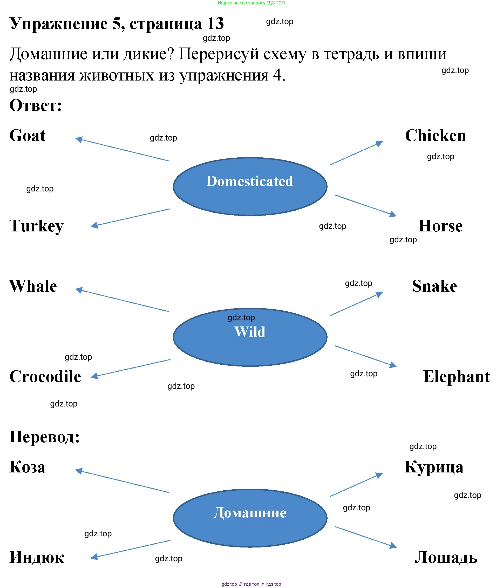 Английский язык (english), 3 класс Учебник (Student's book), авторы: Быкова Надежда Ильинична (Bykova Nadezhda), Дули Дженни (Dooley Jenny), Поспелова Марина Давидовна (Pospelova Marina), Эванс Вирджиния (Evans Virginia), издательство Просвещение, Москва, 2023, зелёного цвета, Часть 2, страница 13, номер 5, Решение 1