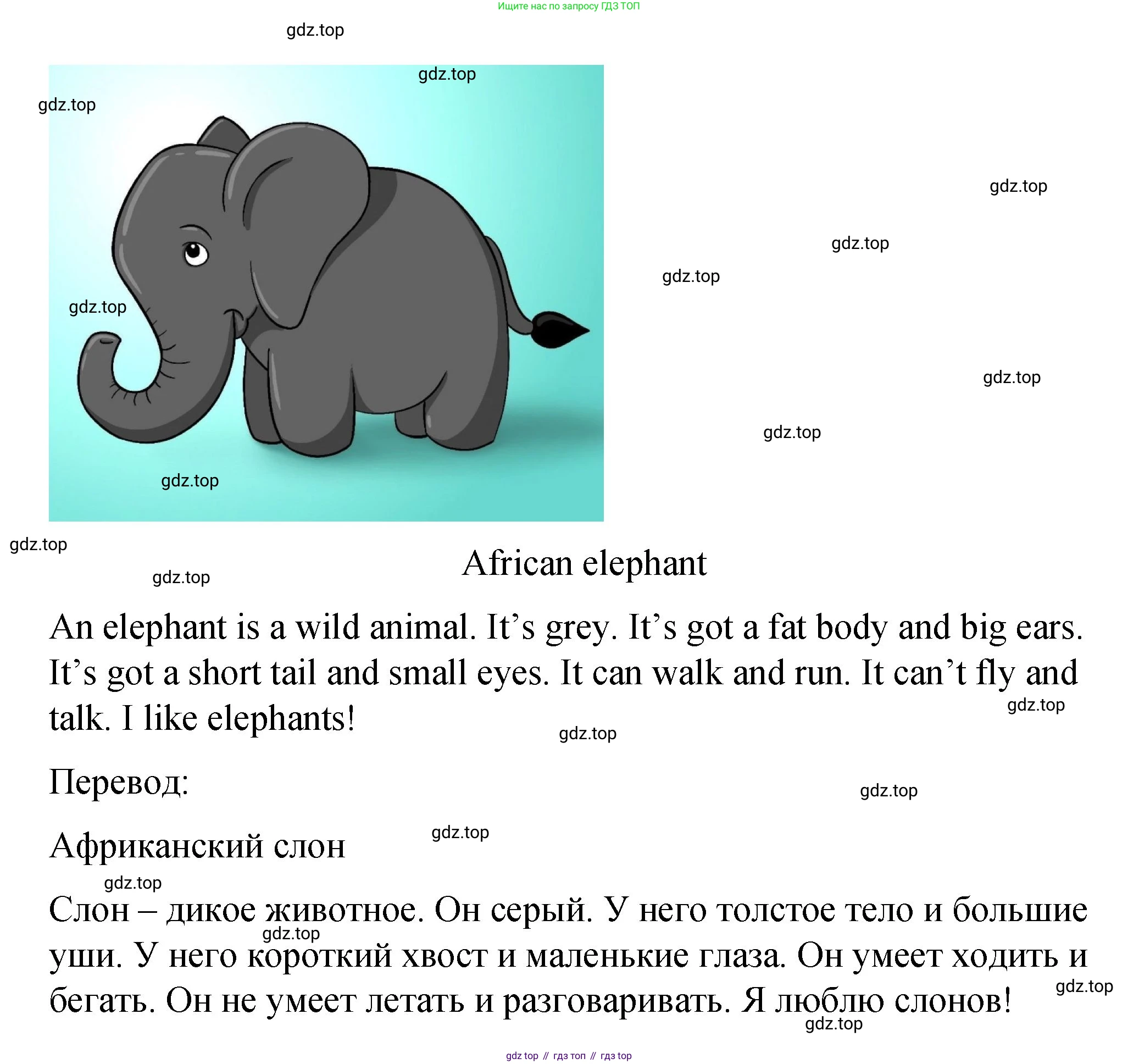Английский язык (english), 3 класс Учебник (Student's book), авторы: Быкова Надежда Ильинична (Bykova Nadezhda), Дули Дженни (Dooley Jenny), Поспелова Марина Давидовна (Pospelova Marina), Эванс Вирджиния (Evans Virginia), издательство Просвещение, Москва, 2023, зелёного цвета, Часть 2, страница 13, номер 6, Решение 1 (продолжение 2)