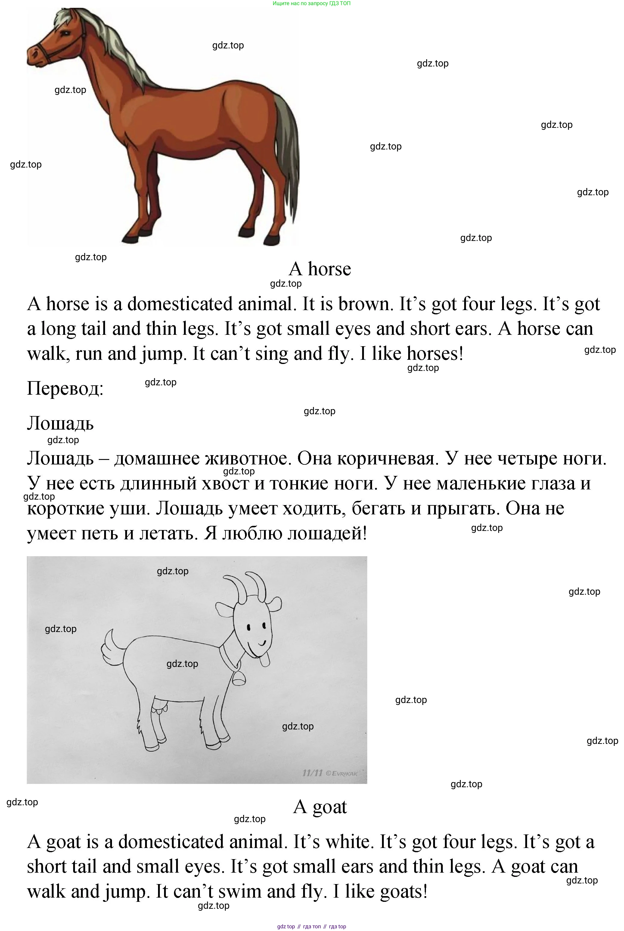 Английский язык (english), 3 класс Учебник (Student's book), авторы: Быкова Надежда Ильинична (Bykova Nadezhda), Дули Дженни (Dooley Jenny), Поспелова Марина Давидовна (Pospelova Marina), Эванс Вирджиния (Evans Virginia), издательство Просвещение, Москва, 2023, зелёного цвета, Часть 2, страница 13, номер 6, Решение 1 (продолжение 3)