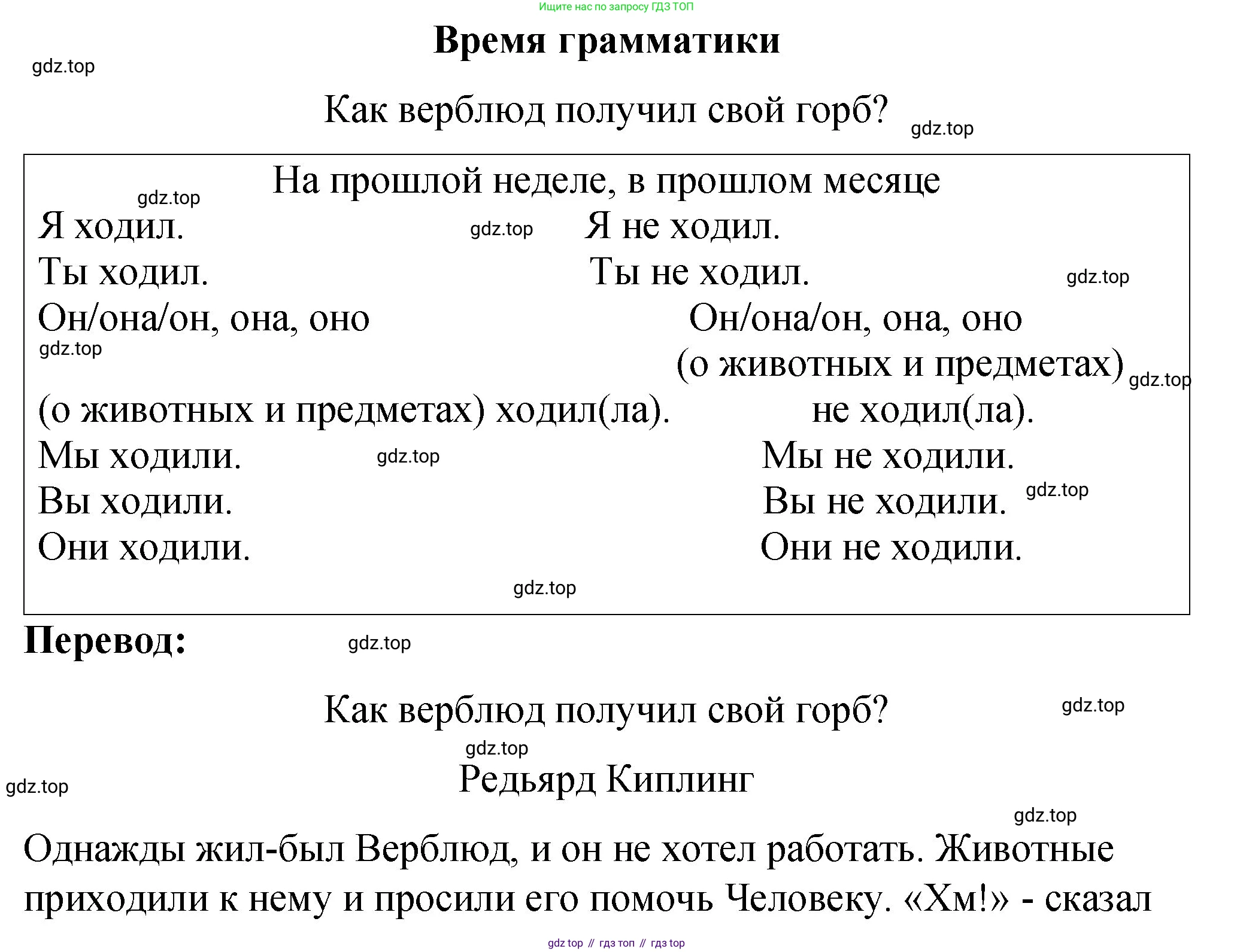 Английский язык (english), 3 класс Учебник (Student's book), авторы: Быкова Надежда Ильинична (Bykova Nadezhda), Дули Дженни (Dooley Jenny), Поспелова Марина Давидовна (Pospelova Marina), Эванс Вирджиния (Evans Virginia), издательство Просвещение, Москва, 2023, зелёного цвета, Часть 2, страница 19, номер 1, Решение 1