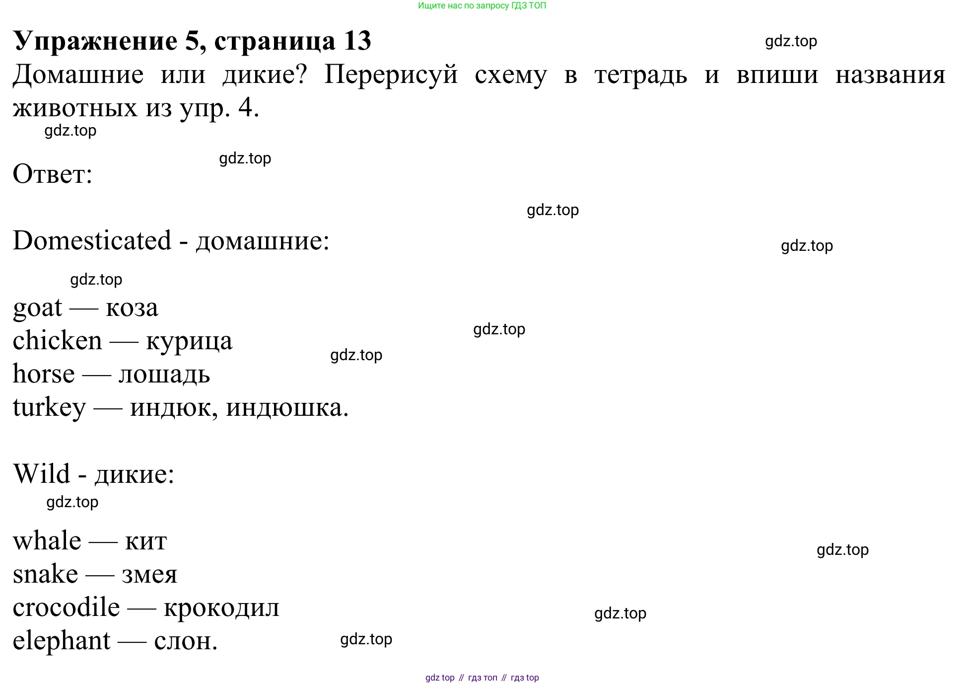 Английский язык (english), 3 класс Учебник (Student's book), авторы: Быкова Надежда Ильинична (Bykova Nadezhda), Дули Дженни (Dooley Jenny), Поспелова Марина Давидовна (Pospelova Marina), Эванс Вирджиния (Evans Virginia), издательство Просвещение, Москва, 2023, зелёного цвета, Часть 2, страница 13, номер 5, Решение 2