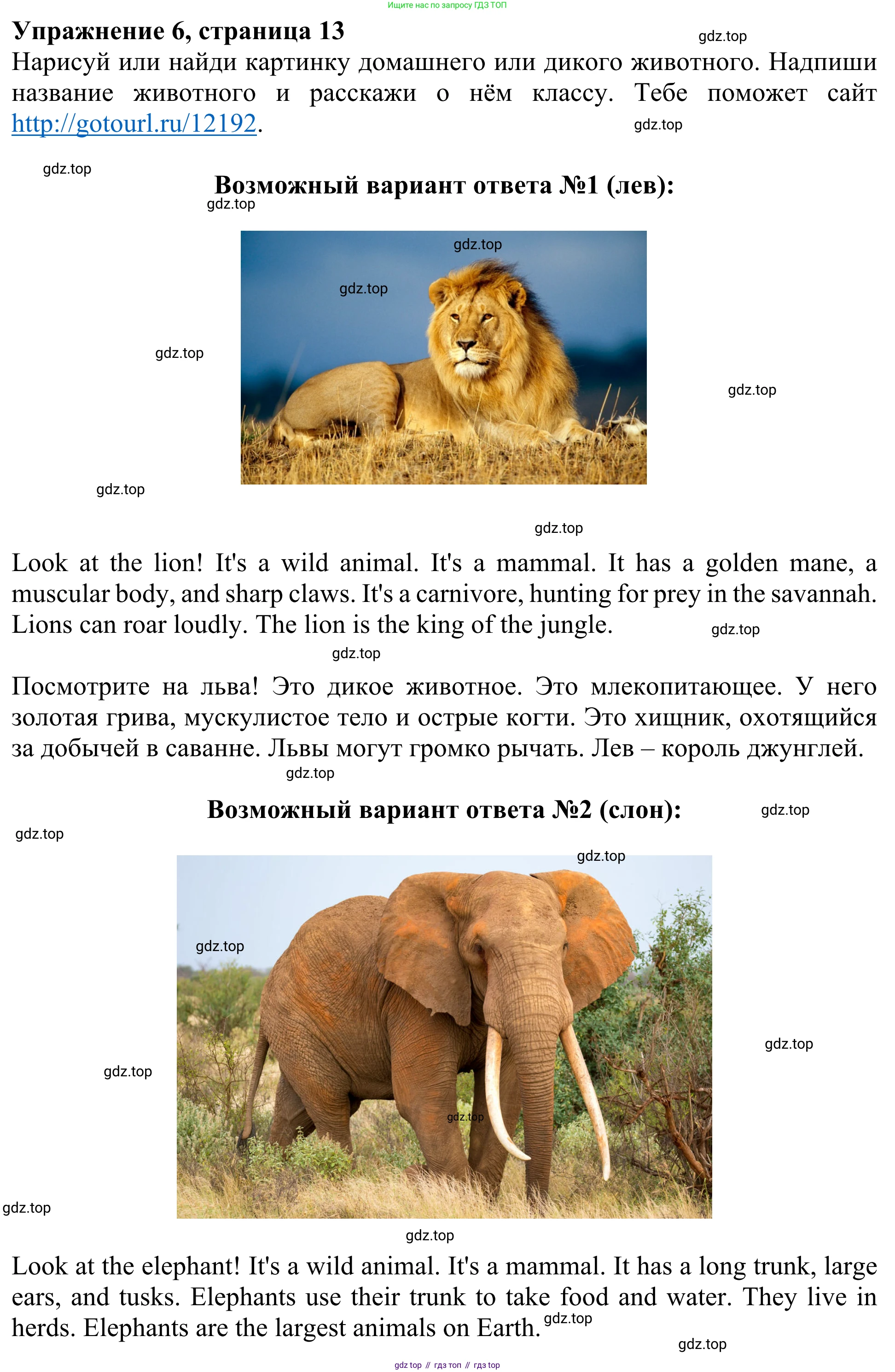 Английский язык (english), 3 класс Учебник (Student's book), авторы: Быкова Надежда Ильинична (Bykova Nadezhda), Дули Дженни (Dooley Jenny), Поспелова Марина Давидовна (Pospelova Marina), Эванс Вирджиния (Evans Virginia), издательство Просвещение, Москва, 2023, зелёного цвета, Часть 2, страница 13, номер 6, Решение 2