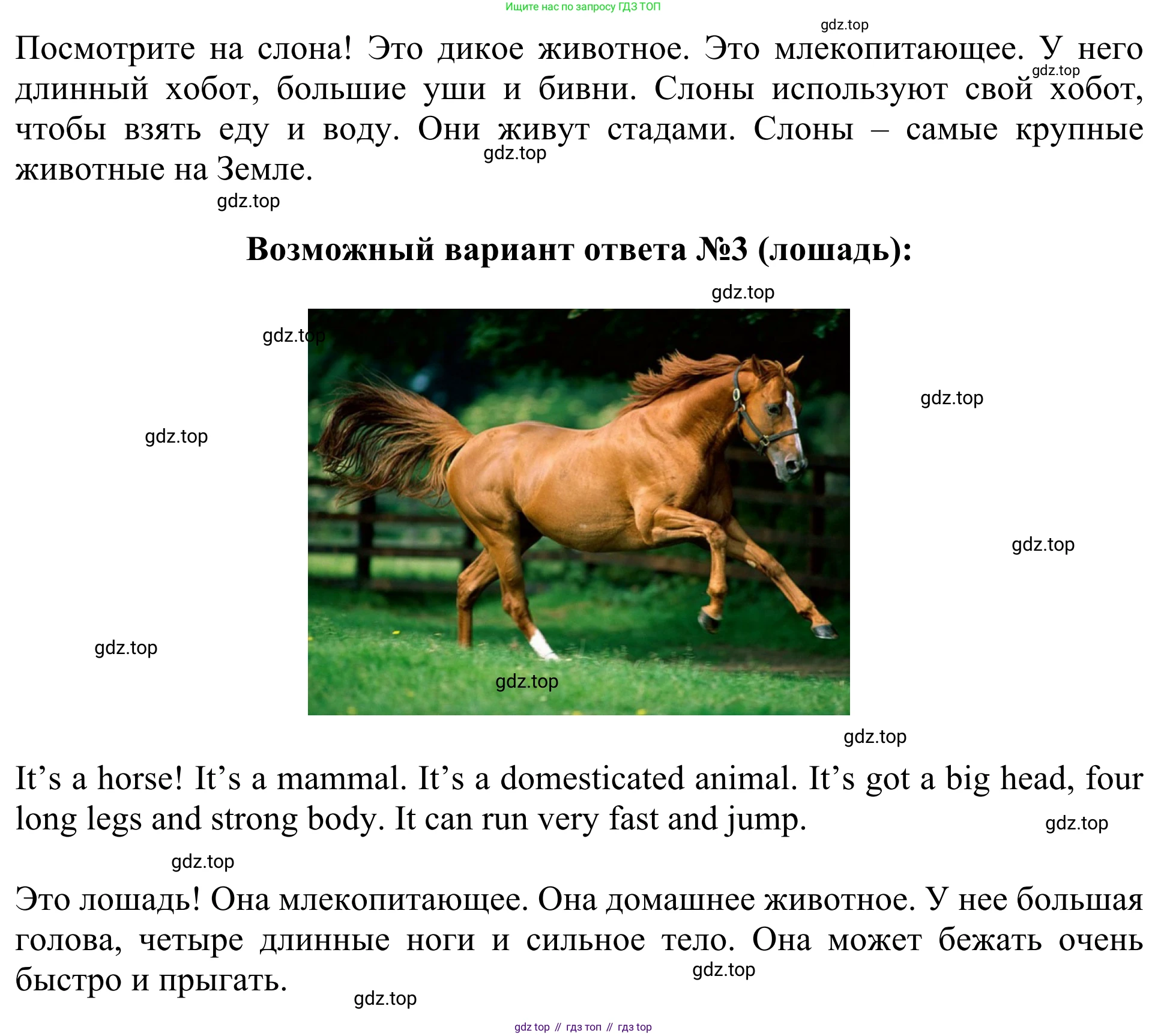 Английский язык (english), 3 класс Учебник (Student's book), авторы: Быкова Надежда Ильинична (Bykova Nadezhda), Дули Дженни (Dooley Jenny), Поспелова Марина Давидовна (Pospelova Marina), Эванс Вирджиния (Evans Virginia), издательство Просвещение, Москва, 2023, зелёного цвета, Часть 2, страница 13, номер 6, Решение 2 (продолжение 2)