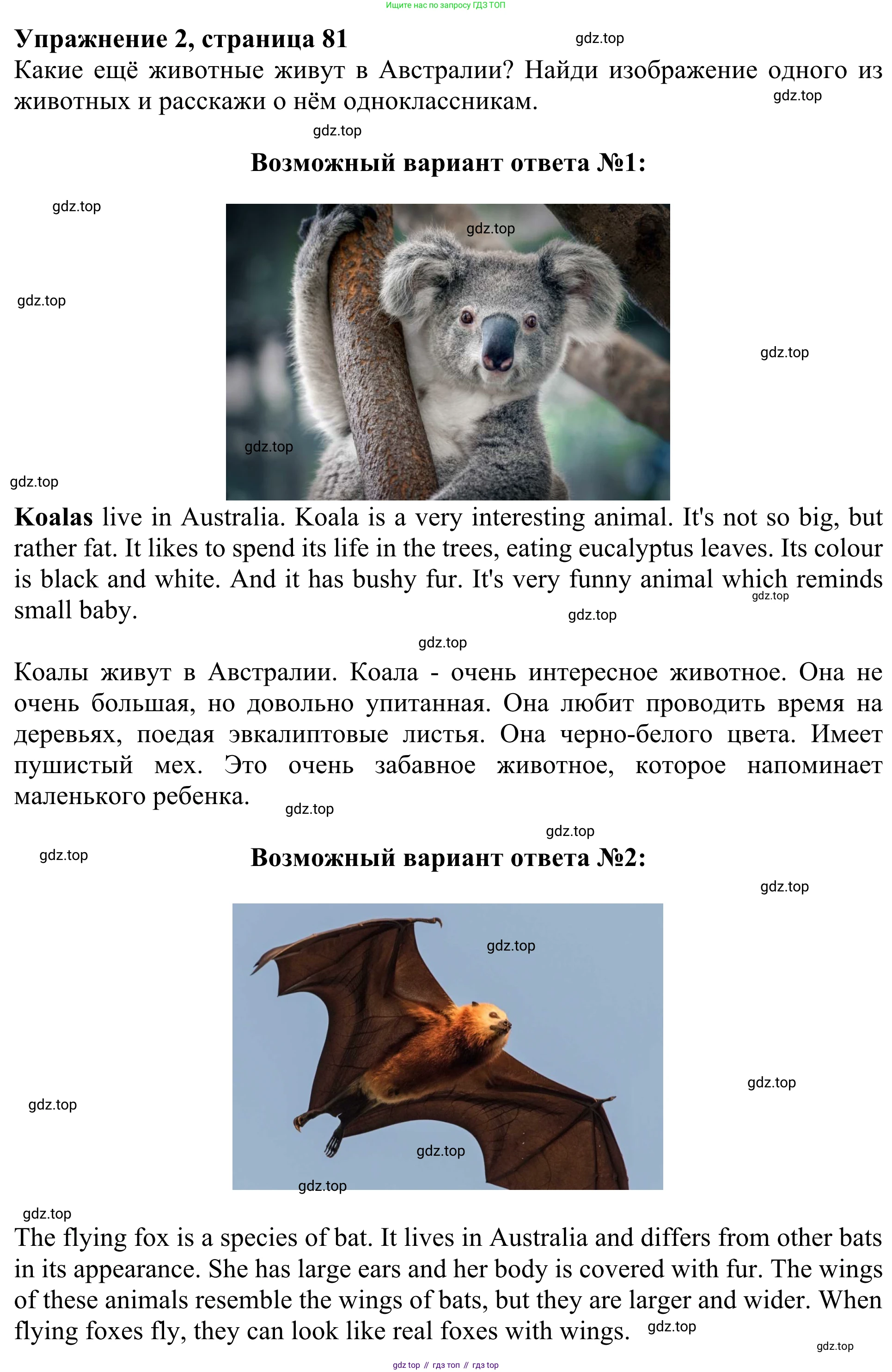 Английский язык (english), 3 класс Учебник (Student's book), авторы: Быкова Надежда Ильинична (Bykova Nadezhda), Дули Дженни (Dooley Jenny), Поспелова Марина Давидовна (Pospelova Marina), Эванс Вирджиния (Evans Virginia), издательство Просвещение, Москва, 2023, зелёного цвета, Часть 2, страница 81, номер 2, Решение 2