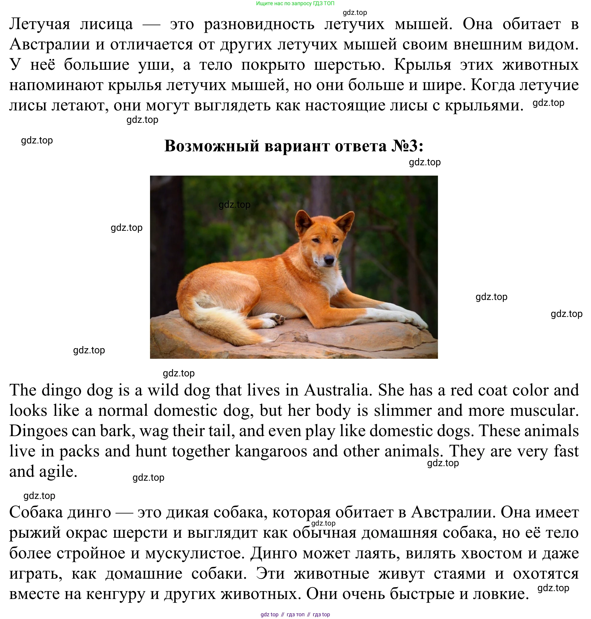 Английский язык (english), 3 класс Учебник (Student's book), авторы: Быкова Надежда Ильинична (Bykova Nadezhda), Дули Дженни (Dooley Jenny), Поспелова Марина Давидовна (Pospelova Marina), Эванс Вирджиния (Evans Virginia), издательство Просвещение, Москва, 2023, зелёного цвета, Часть 2, страница 81, номер 2, Решение 2 (продолжение 2)