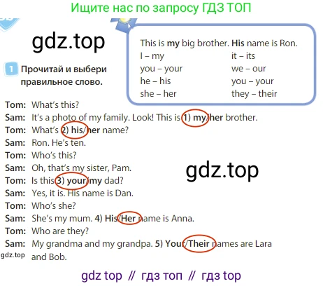 Английский язык (english), 3 класс Учебник (Student's book), авторы: Быкова Надежда Ильинична (Bykova Nadezhda), Дули Дженни (Dooley Jenny), Поспелова Марина Давидовна (Pospelova Marina), Эванс Вирджиния (Evans Virginia), издательство Просвещение, Москва, 2023, зелёного цвета, Часть 1, страница 28, номер 1, Решение 3