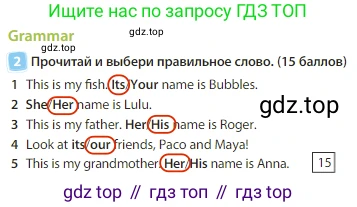 Английский язык (english), 3 класс Учебник (Student's book), авторы: Быкова Надежда Ильинична (Bykova Nadezhda), Дули Дженни (Dooley Jenny), Поспелова Марина Давидовна (Pospelova Marina), Эванс Вирджиния (Evans Virginia), издательство Просвещение, Москва, 2023, зелёного цвета, Часть 1, страница 40, номер 2, Решение 3