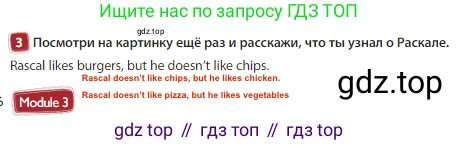 Английский язык (english), 3 класс Учебник (Student's book), авторы: Быкова Надежда Ильинична (Bykova Nadezhda), Дули Дженни (Dooley Jenny), Поспелова Марина Давидовна (Pospelova Marina), Эванс Вирджиния (Evans Virginia), издательство Просвещение, Москва, 2023, зелёного цвета, Часть 1, страница 46, номер 3, Решение 3
