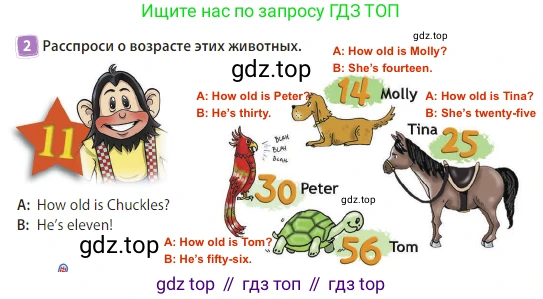 Английский язык (english), 3 класс Учебник (Student's book), авторы: Быкова Надежда Ильинична (Bykova Nadezhda), Дули Дженни (Dooley Jenny), Поспелова Марина Давидовна (Pospelova Marina), Эванс Вирджиния (Evans Virginia), издательство Просвещение, Москва, 2023, зелёного цвета, Часть 2, страница 12, номер 2, Решение 3