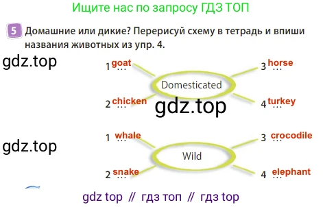 Английский язык (english), 3 класс Учебник (Student's book), авторы: Быкова Надежда Ильинична (Bykova Nadezhda), Дули Дженни (Dooley Jenny), Поспелова Марина Давидовна (Pospelova Marina), Эванс Вирджиния (Evans Virginia), издательство Просвещение, Москва, 2023, зелёного цвета, Часть 2, страница 13, номер 5, Решение 3