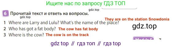 Английский язык (english), 3 класс Учебник (Student's book), авторы: Быкова Надежда Ильинична (Bykova Nadezhda), Дули Дженни (Dooley Jenny), Поспелова Марина Давидовна (Pospelova Marina), Эванс Вирджиния (Evans Virginia), издательство Просвещение, Москва, 2023, зелёного цвета, Часть 2, страница 7, номер 6, Решение 3