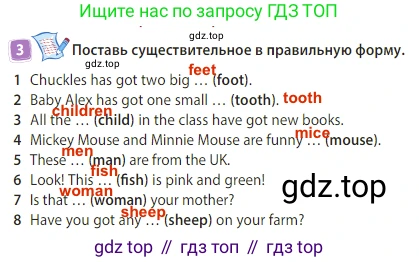 Английский язык (english), 3 класс Учебник (Student's book), авторы: Быкова Надежда Ильинична (Bykova Nadezhda), Дули Дженни (Dooley Jenny), Поспелова Марина Давидовна (Pospelova Marina), Эванс Вирджиния (Evans Virginia), издательство Просвещение, Москва, 2023, зелёного цвета, Часть 2, страница 8, номер 3, Решение 3