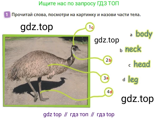 Английский язык (english), 3 класс Учебник (Student's book), авторы: Быкова Надежда Ильинична (Bykova Nadezhda), Дули Дженни (Dooley Jenny), Поспелова Марина Давидовна (Pospelova Marina), Эванс Вирджиния (Evans Virginia), издательство Просвещение, Москва, 2023, зелёного цвета, Часть 2, страница 17, номер 1, Решение 3