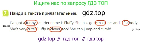 Английский язык (english), 3 класс Учебник (Student's book), авторы: Быкова Надежда Ильинична (Bykova Nadezhda), Дули Дженни (Dooley Jenny), Поспелова Марина Давидовна (Pospelova Marina), Эванс Вирджиния (Evans Virginia), издательство Просвещение, Москва, 2023, зелёного цвета, Часть 2, страница 89, номер 7, Решение 3