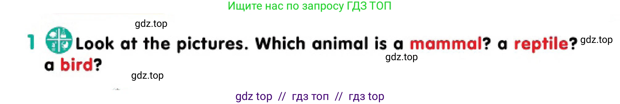 Английский язык (english), 3 класс Учебник (Pupil's book), авторы: Дули Дженни (Dooley Jenny), Оби Боб (Obee Bob), издательство Express Publishing, Алматы, 2018, красного цвета, страница 5, номер 1, Условие