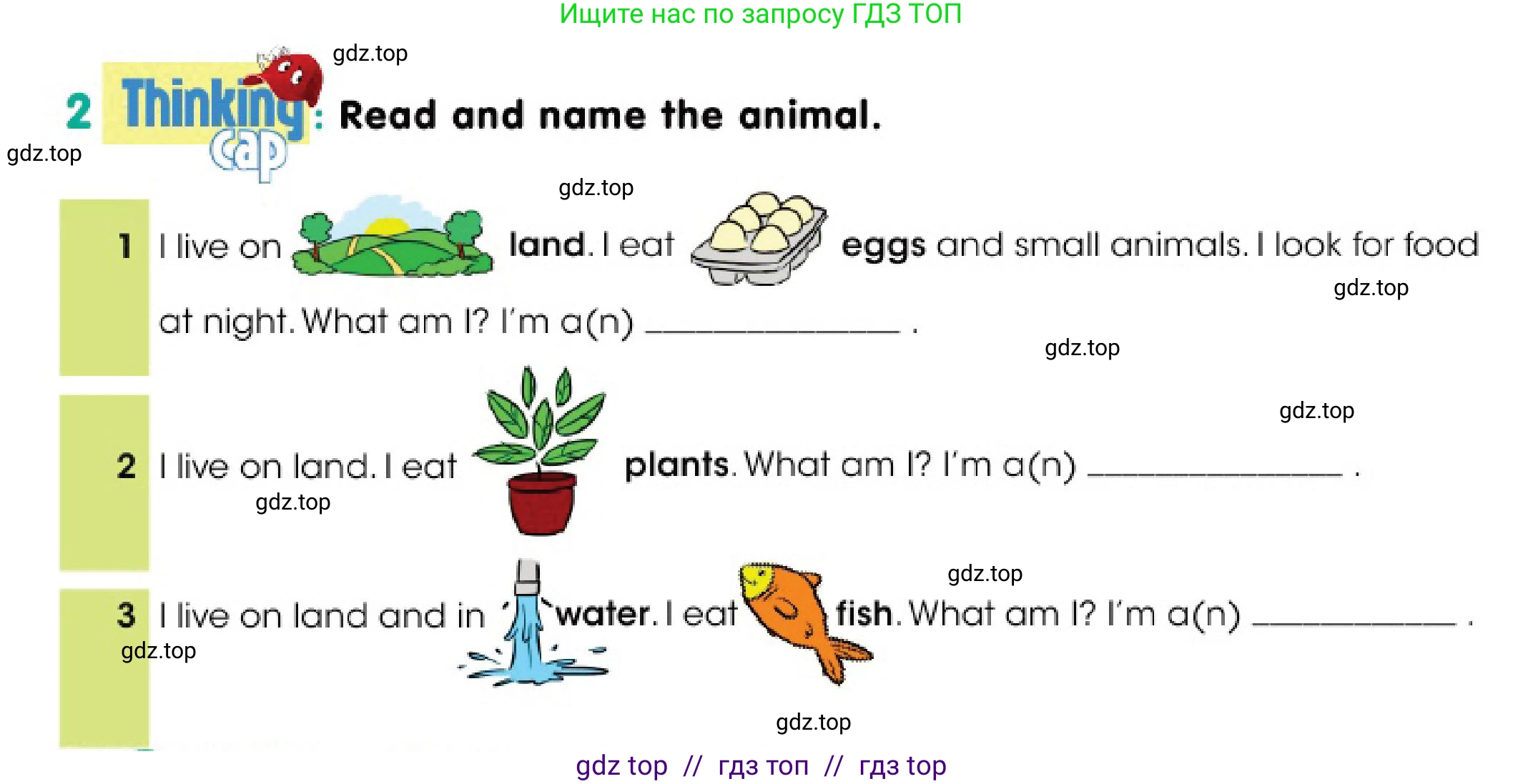 Английский язык (english), 3 класс Учебник (Pupil's book), авторы: Дули Дженни (Dooley Jenny), Оби Боб (Obee Bob), издательство Express Publishing, Алматы, 2018, красного цвета, страница 5, номер 2, Условие