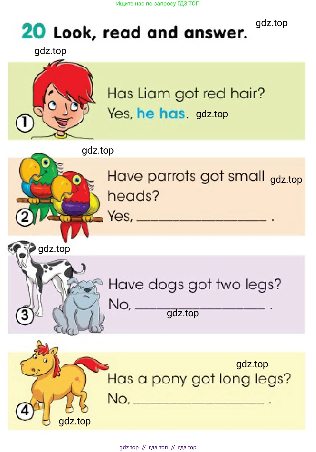 Английский язык (english), 3 класс Учебник (Pupil's book), авторы: Дули Дженни (Dooley Jenny), Оби Боб (Obee Bob), издательство Express Publishing, Алматы, 2018, красного цвета, страница 11, номер 20, Условие