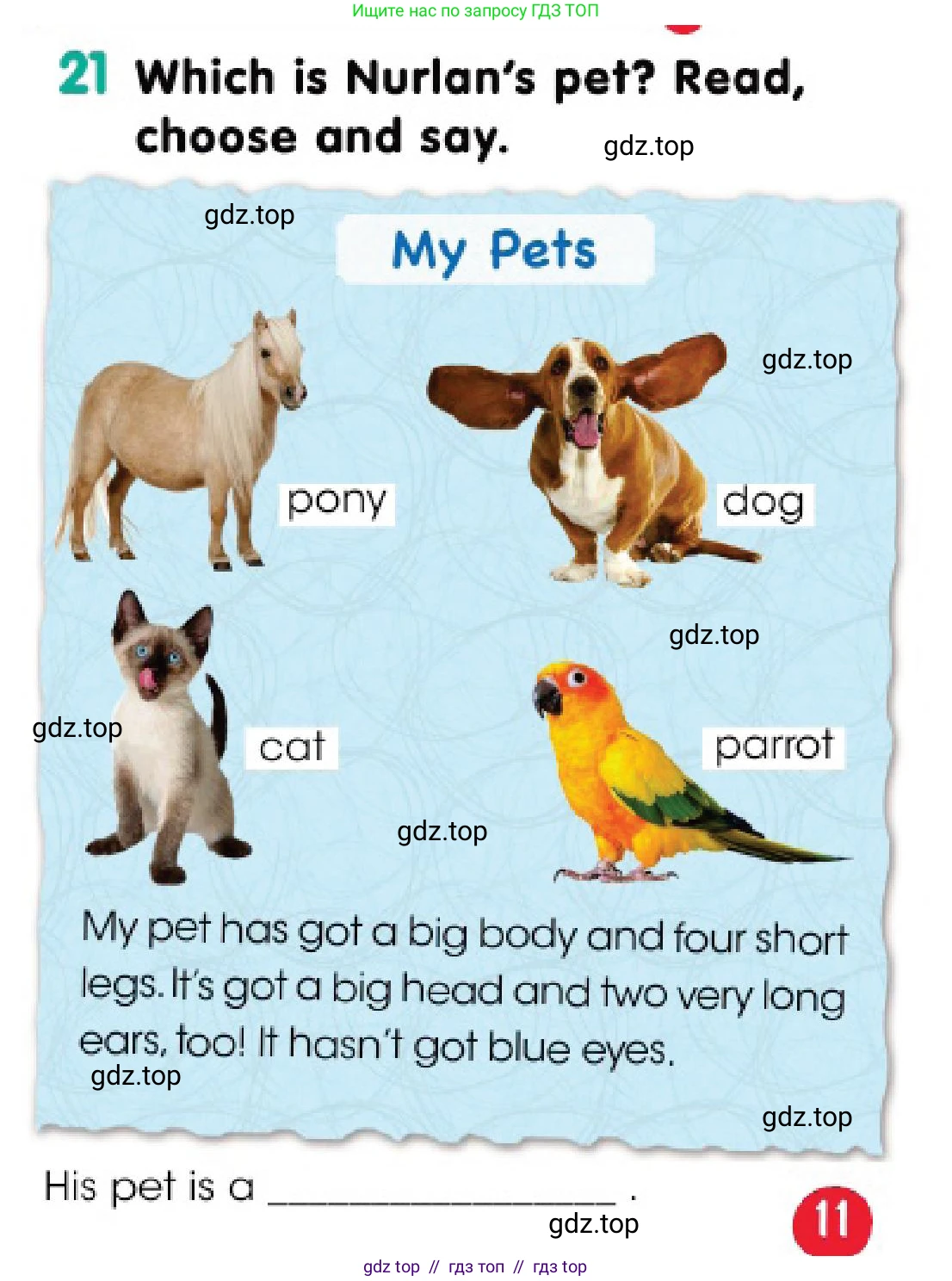 Английский язык (english), 3 класс Учебник (Pupil's book), авторы: Дули Дженни (Dooley Jenny), Оби Боб (Obee Bob), издательство Express Publishing, Алматы, 2018, красного цвета, страница 11, номер 21, Условие