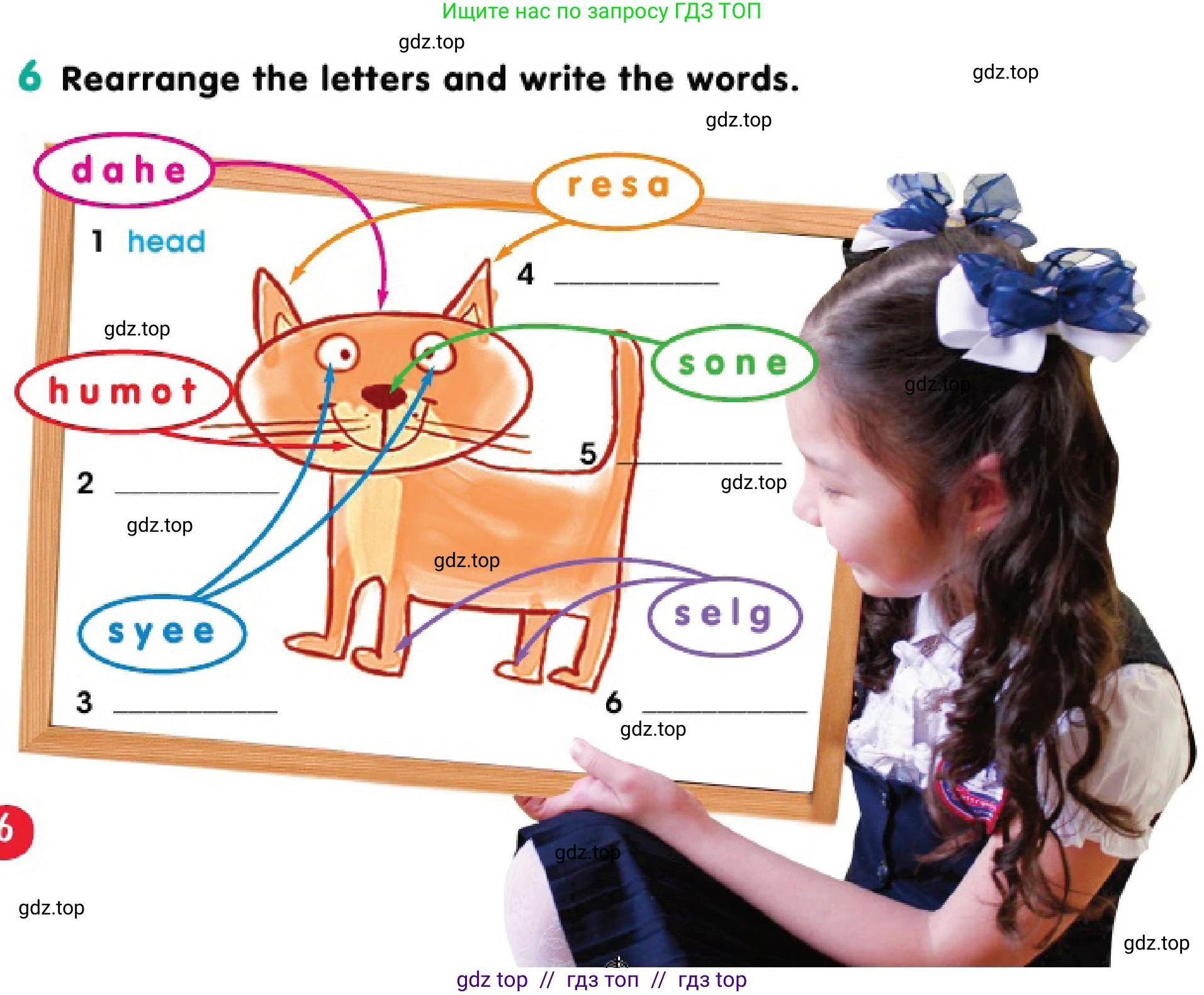 Английский язык (english), 3 класс Учебник (Pupil's book), авторы: Дули Дженни (Dooley Jenny), Оби Боб (Obee Bob), издательство Express Publishing, Алматы, 2018, красного цвета, страница 6, номер 6, Условие