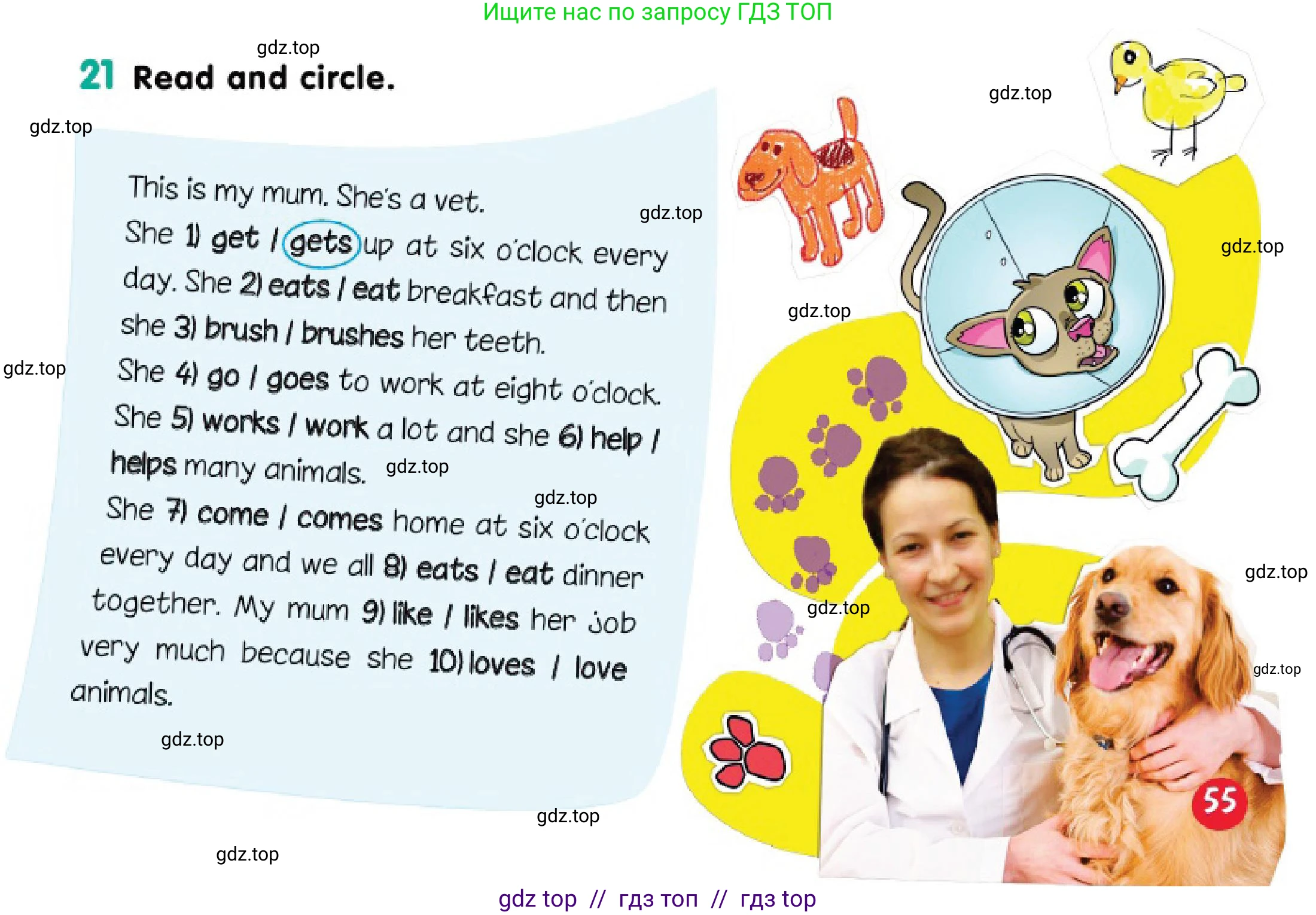Английский язык (english), 3 класс Учебник (Pupil's book), авторы: Дули Дженни (Dooley Jenny), Оби Боб (Obee Bob), издательство Express Publishing, Алматы, 2018, красного цвета, страница 55, номер 21, Условие