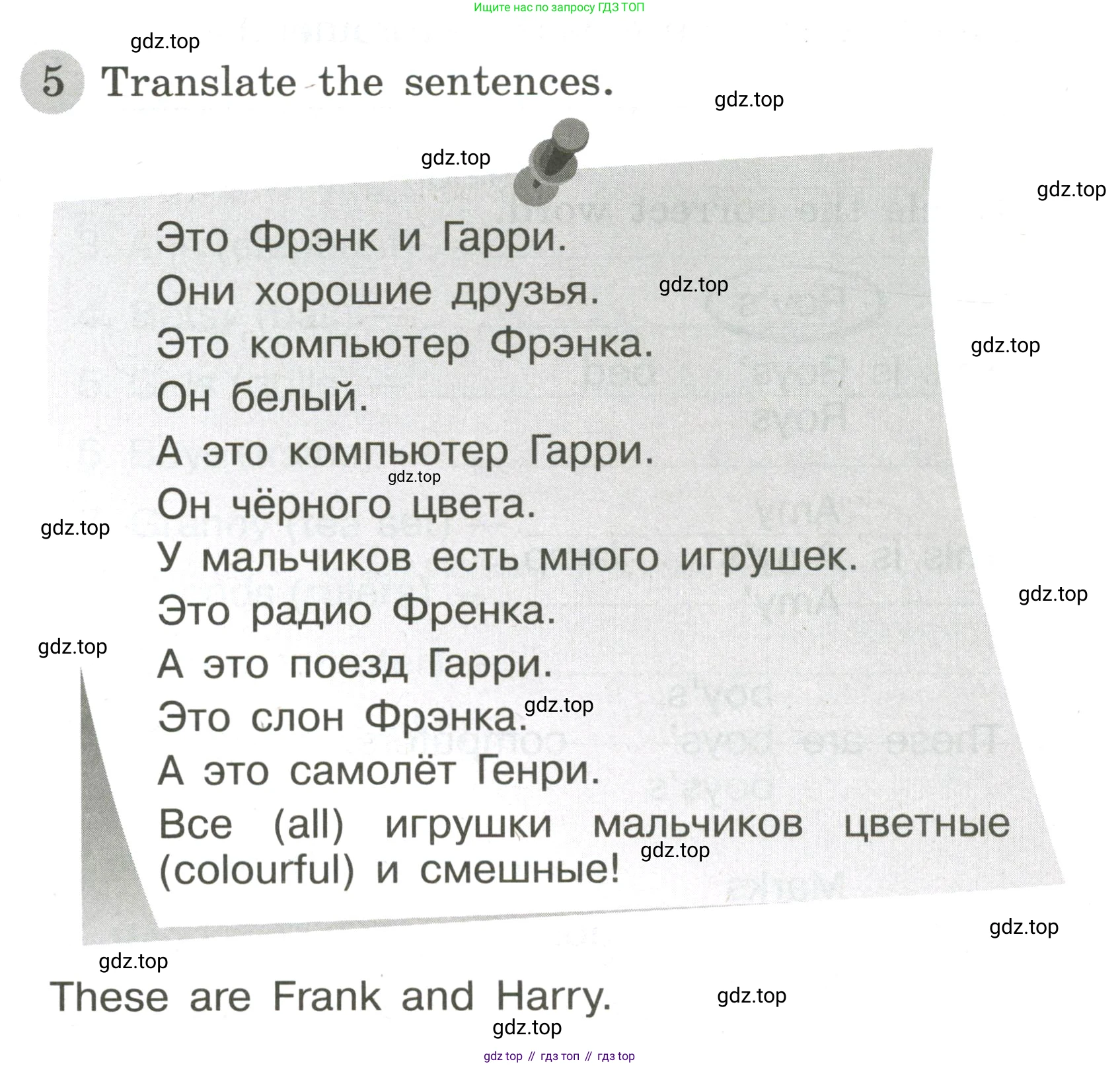 ГДЗ Английский язык (english), 3 класс Грамматический тренажёр, автор: Юшина Дарья Генадьевна, издательство Просвещение, Москва, 2023, салатового цвета, страница 40, номер 5, Условие