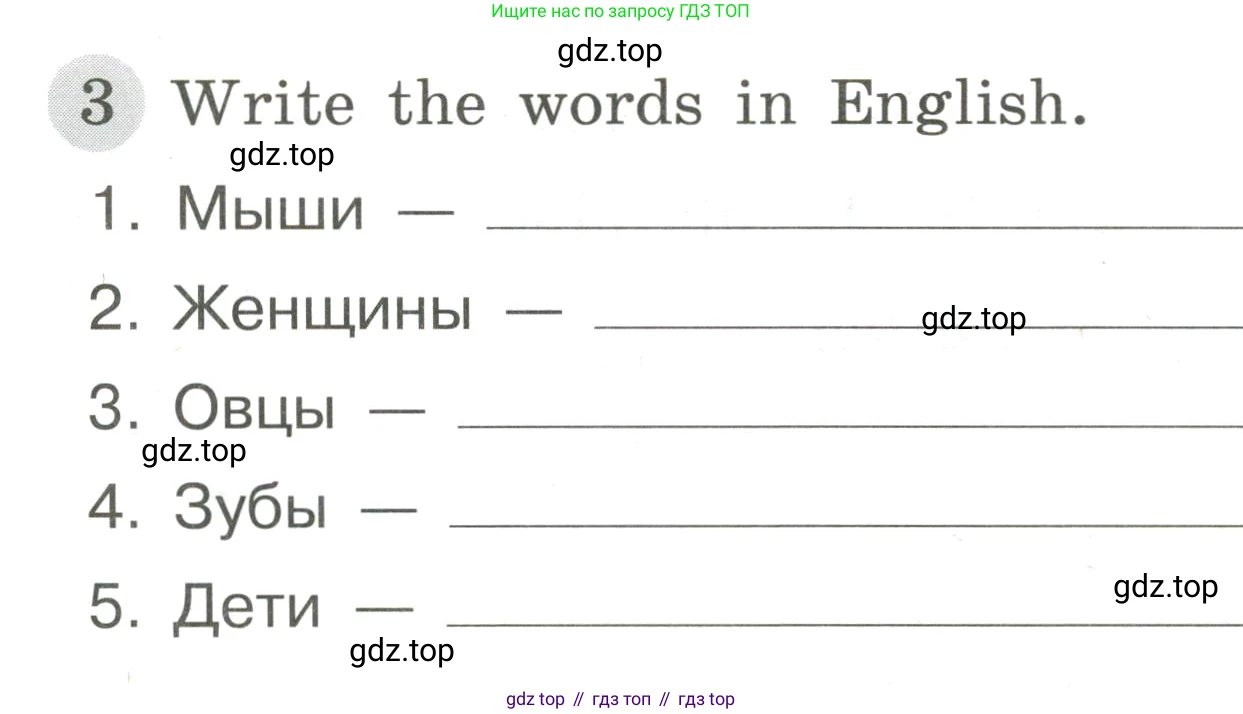 ГДЗ Английский язык (english), 3 класс Грамматический тренажёр, автор: Юшина Дарья Генадьевна, издательство Просвещение, Москва, 2023, салатового цвета, страница 50, номер 3, Условие