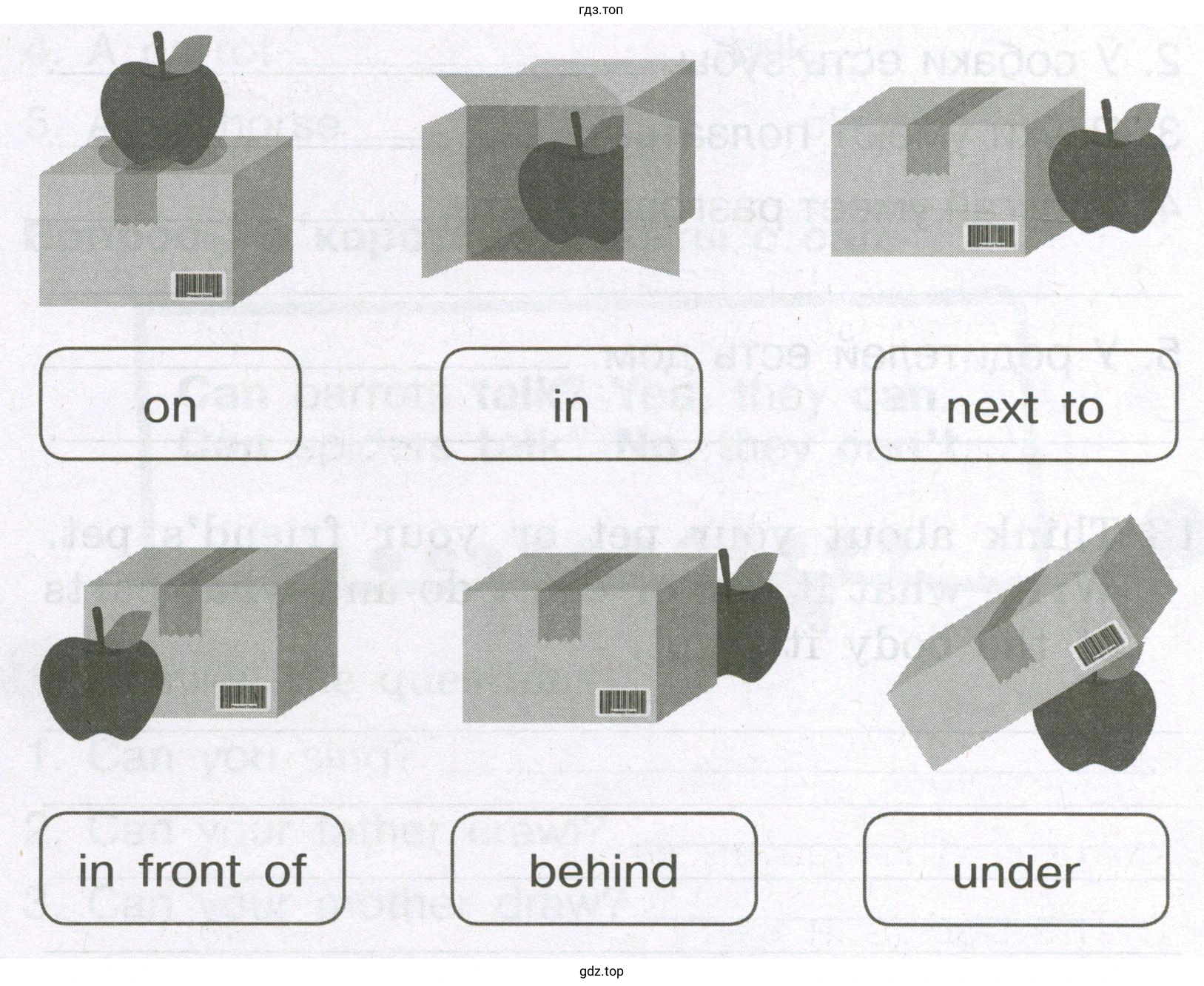 Choose the answer