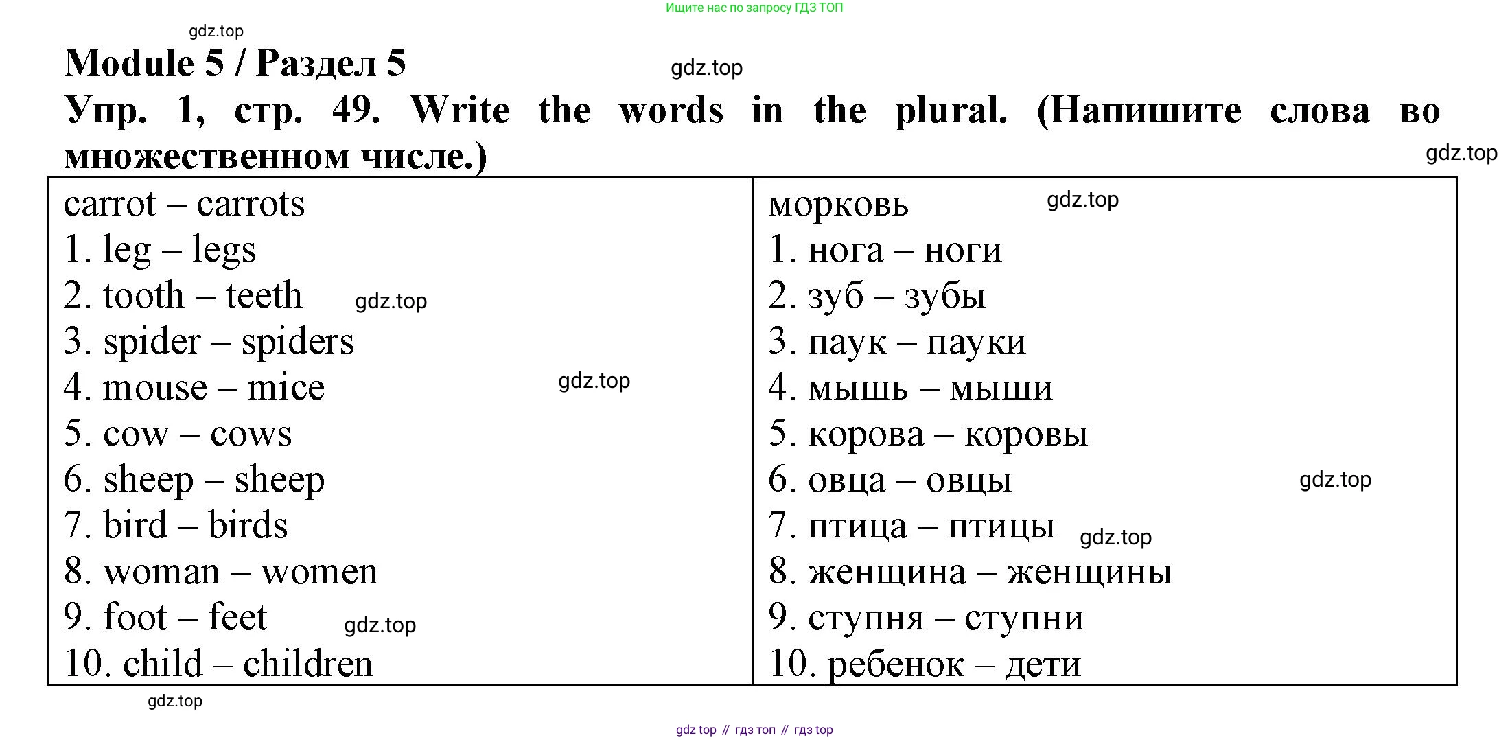 ГДЗ Английский язык (english), 3 класс Грамматический тренажёр, автор: Юшина Дарья Генадьевна, издательство Просвещение, Москва, 2023, салатового цвета, страница 49, номер 1, Решение