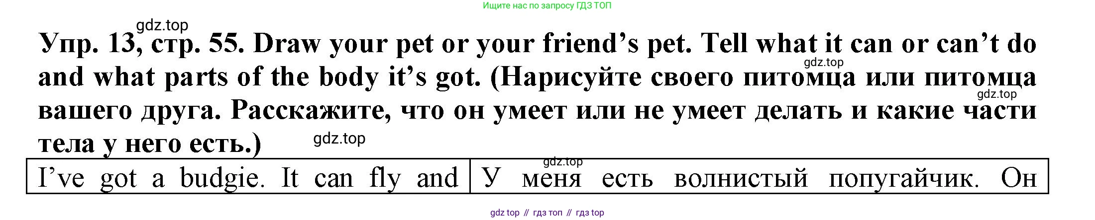 ГДЗ Английский язык (english), 3 класс Грамматический тренажёр, автор: Юшина Дарья Генадьевна, издательство Просвещение, Москва, 2023, салатового цвета, страница 55, номер 13, Решение
