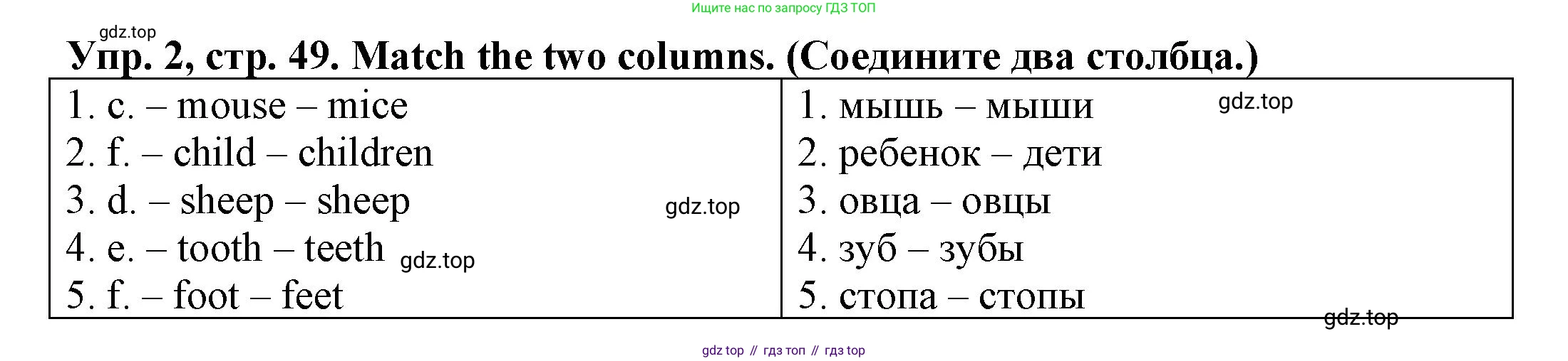 ГДЗ Английский язык (english), 3 класс Грамматический тренажёр, автор: Юшина Дарья Генадьевна, издательство Просвещение, Москва, 2023, салатового цвета, страница 49, номер 2, Решение