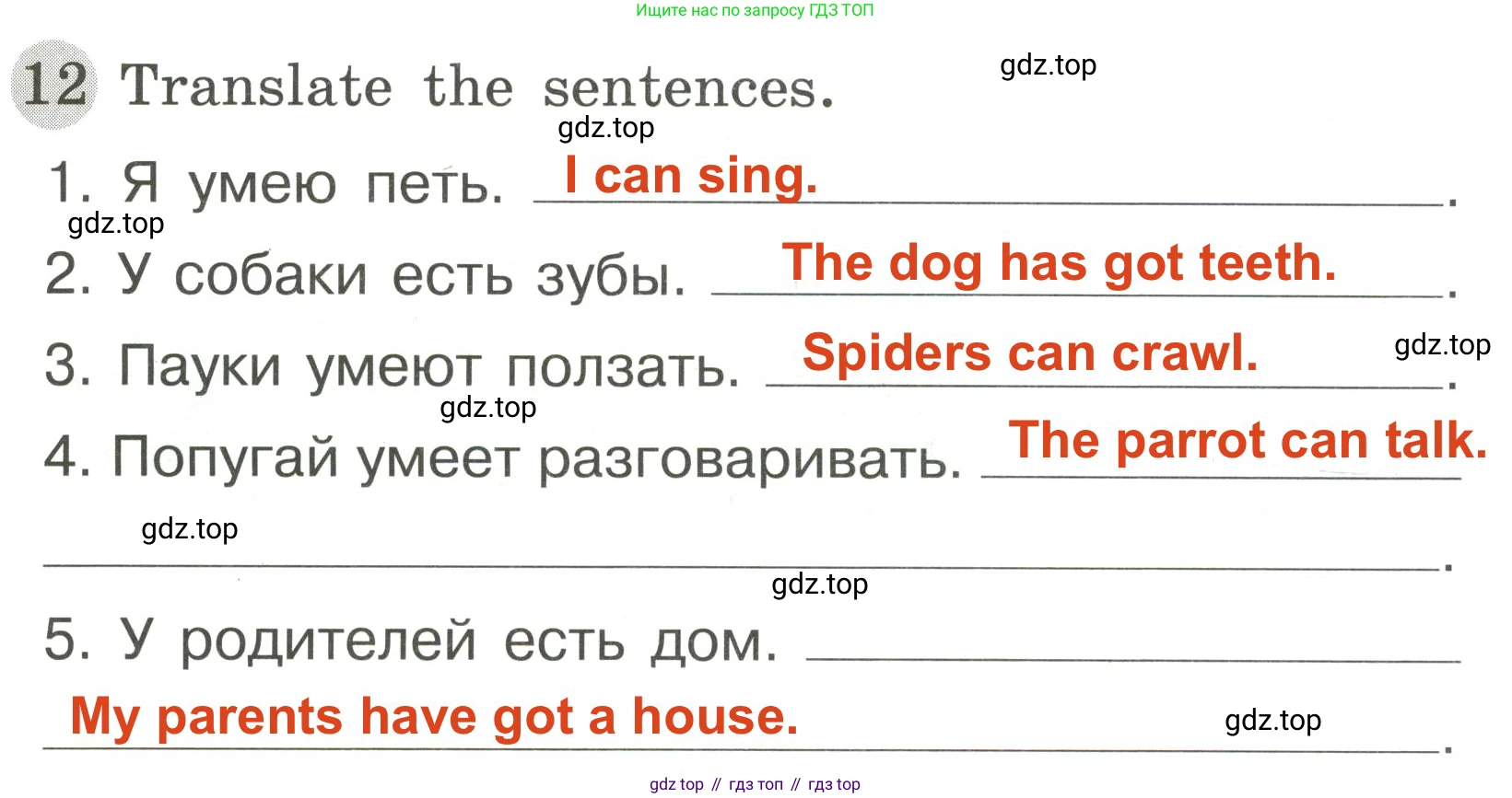 ГДЗ Английский язык (english), 3 класс Грамматический тренажёр, автор: Юшина Дарья Генадьевна, издательство Просвещение, Москва, 2023, салатового цвета, страница 55, номер 12, Решение 2