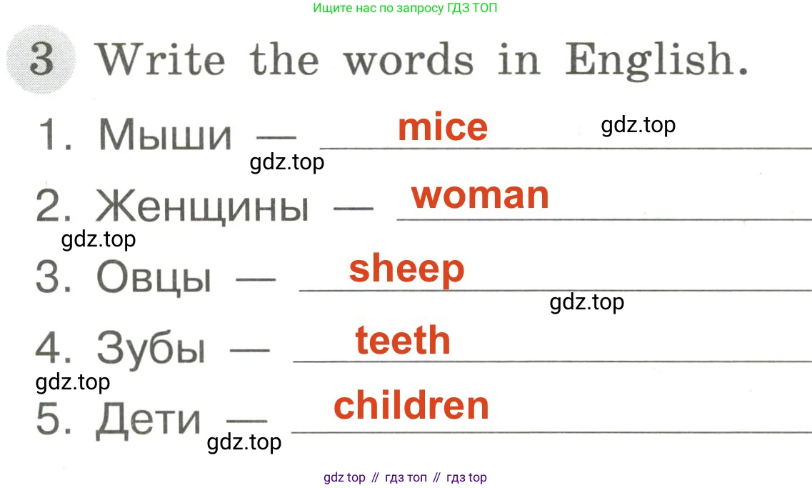 ГДЗ Английский язык (english), 3 класс Грамматический тренажёр, автор: Юшина Дарья Генадьевна, издательство Просвещение, Москва, 2023, салатового цвета, страница 50, номер 3, Решение 2