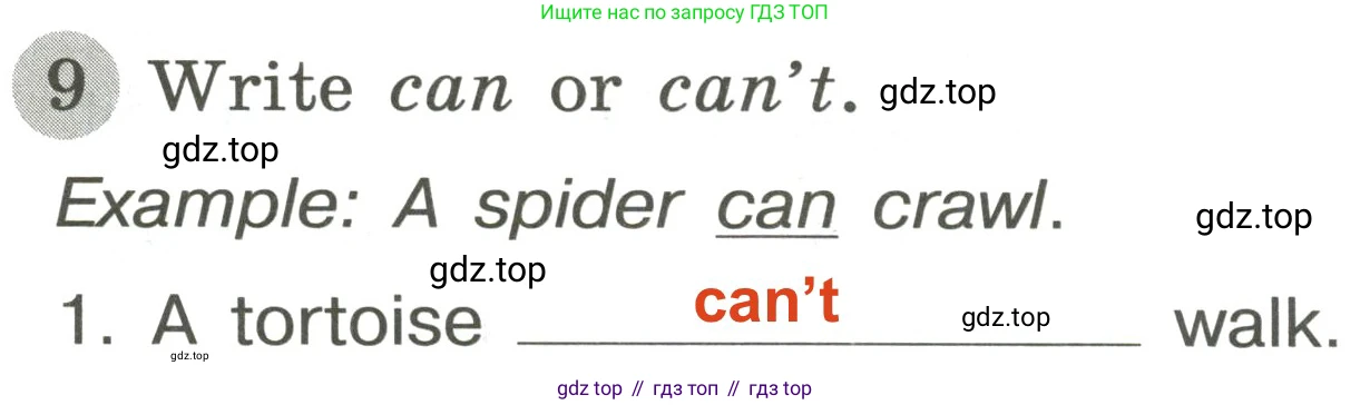 ГДЗ Английский язык (english), 3 класс Грамматический тренажёр, автор: Юшина Дарья Генадьевна, издательство Просвещение, Москва, 2023, салатового цвета, страница 53, номер 9, Решение 2