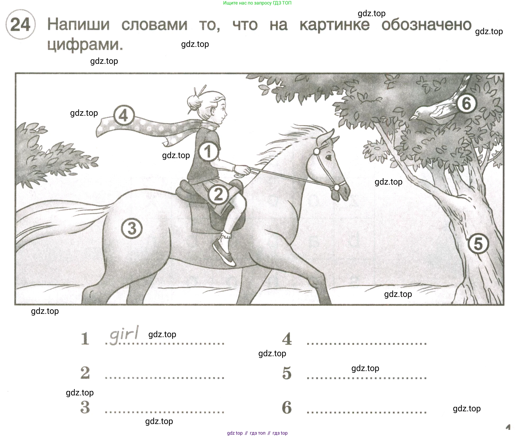 ГДЗ Английский язык (english), 3 класс рабочая тетрадь, авторы: Комарова Юлия Александровна, Ларионова Ирина Владимировна, издательство Русское слово, Москва, 2022, голубого цвета, страница 11, номер 24, Условие