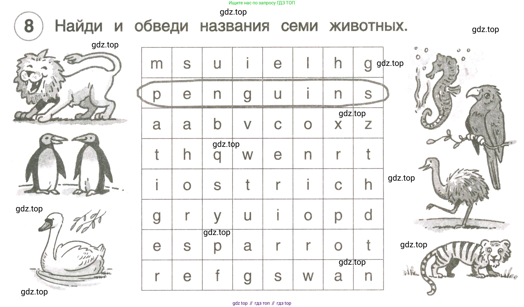 ГДЗ Английский язык (english), 3 класс рабочая тетрадь, авторы: Комарова Юлия Александровна, Ларионова Ирина Владимировна, издательство Русское слово, Москва, 2022, голубого цвета, страница 18, номер 8, Условие