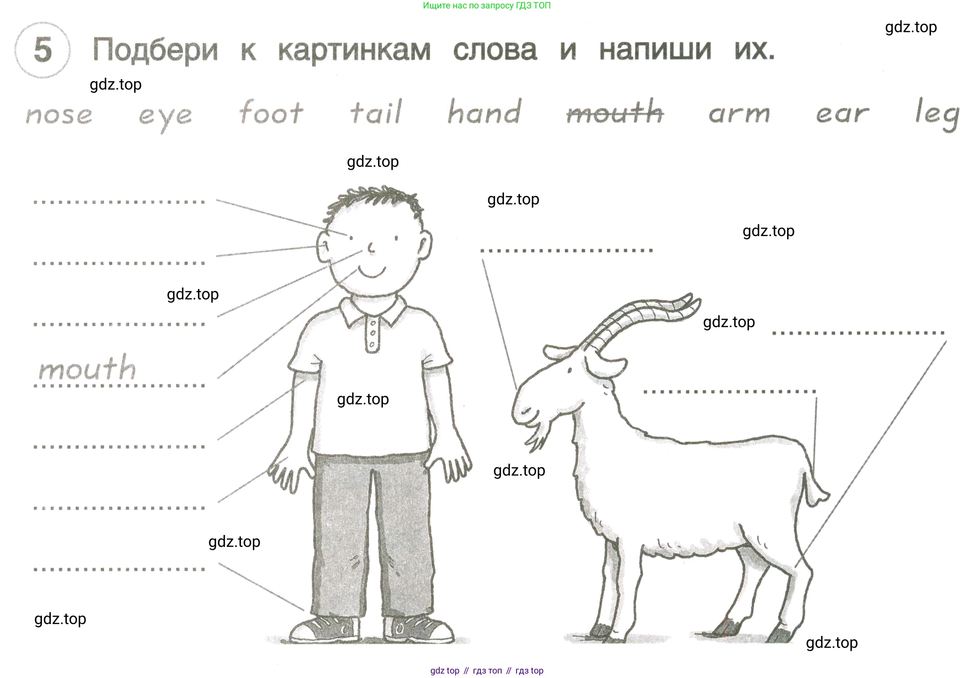 ГДЗ Английский язык (english), 3 класс рабочая тетрадь, авторы: Комарова Юлия Александровна, Ларионова Ирина Владимировна, издательство Русское слово, Москва, 2022, голубого цвета, страница 21, номер 5, Условие