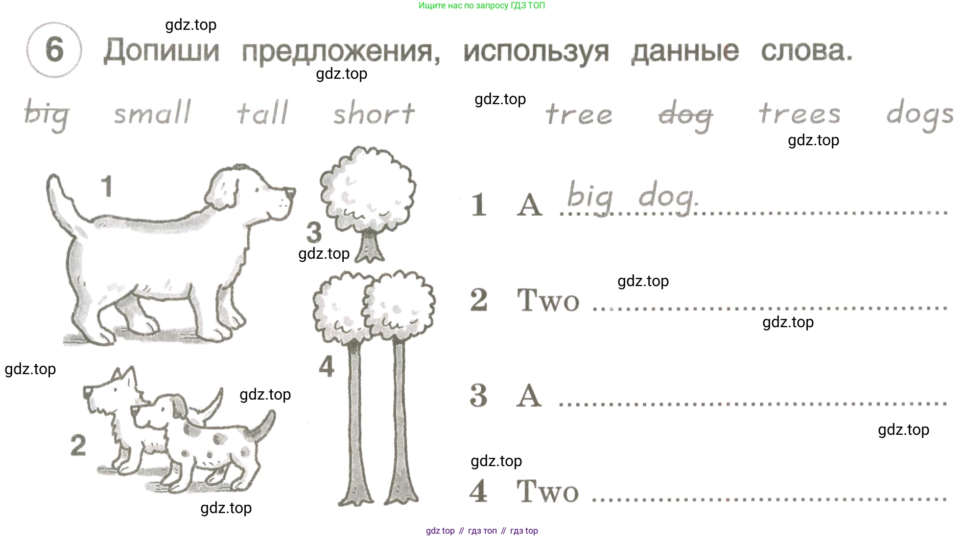 ГДЗ Английский язык (english), 3 класс рабочая тетрадь, авторы: Комарова Юлия Александровна, Ларионова Ирина Владимировна, издательство Русское слово, Москва, 2022, голубого цвета, страница 29, номер 6, Условие