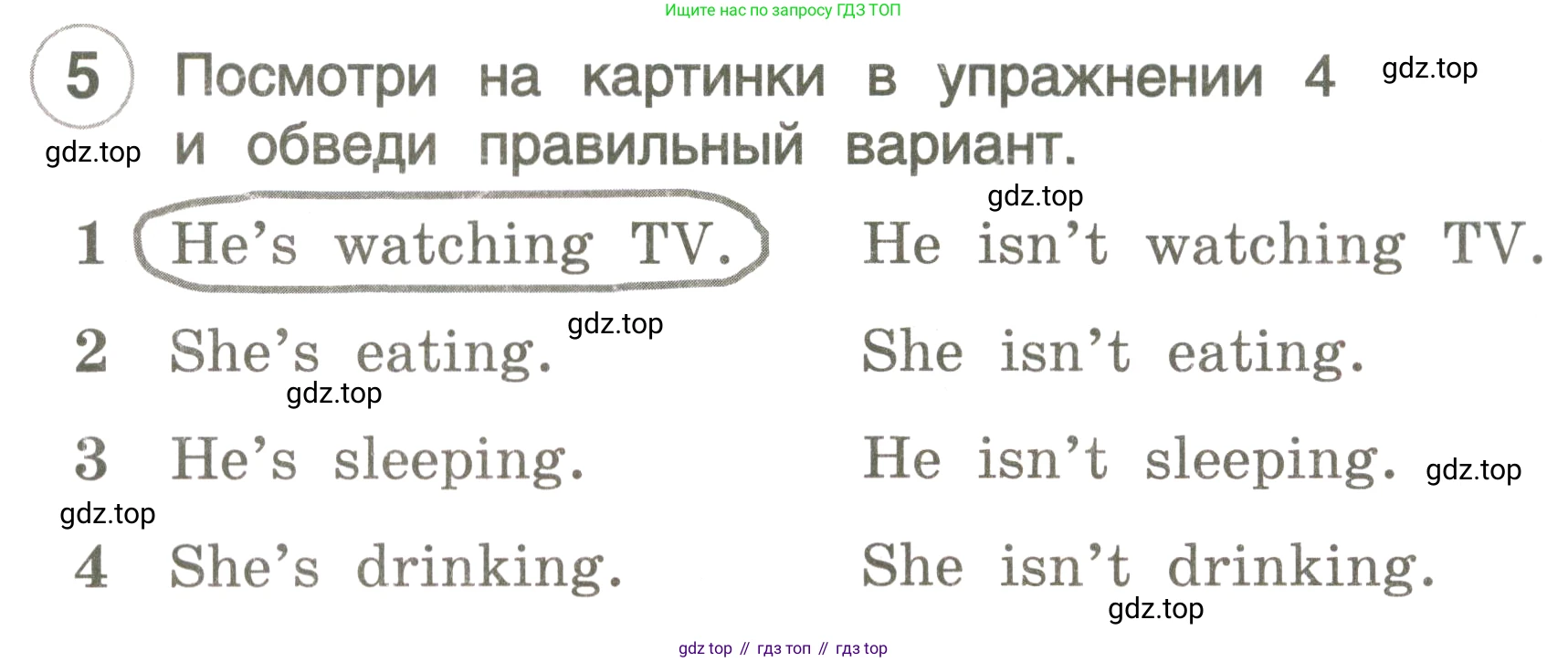 ГДЗ Английский язык (english), 3 класс рабочая тетрадь, авторы: Комарова Юлия Александровна, Ларионова Ирина Владимировна, издательство Русское слово, Москва, 2022, голубого цвета, страница 33, номер 5, Условие