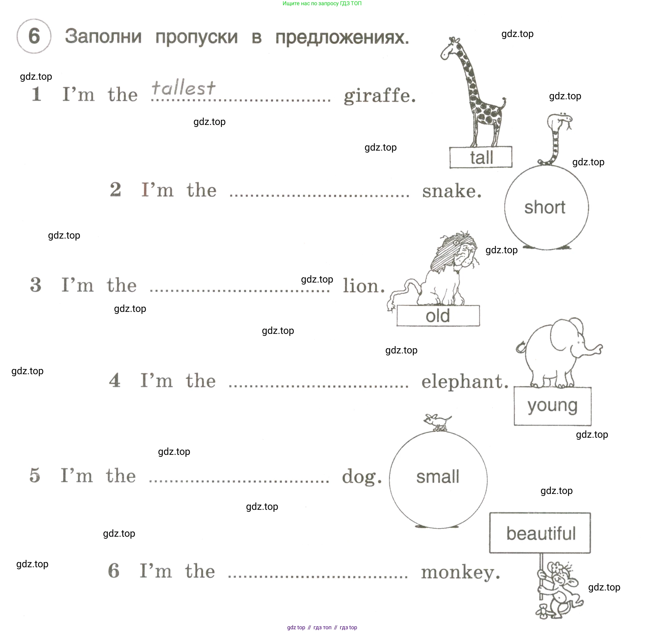 ГДЗ Английский язык (english), 3 класс рабочая тетрадь, авторы: Комарова Юлия Александровна, Ларионова Ирина Владимировна, издательство Русское слово, Москва, 2022, голубого цвета, страница 64, номер 6, Условие