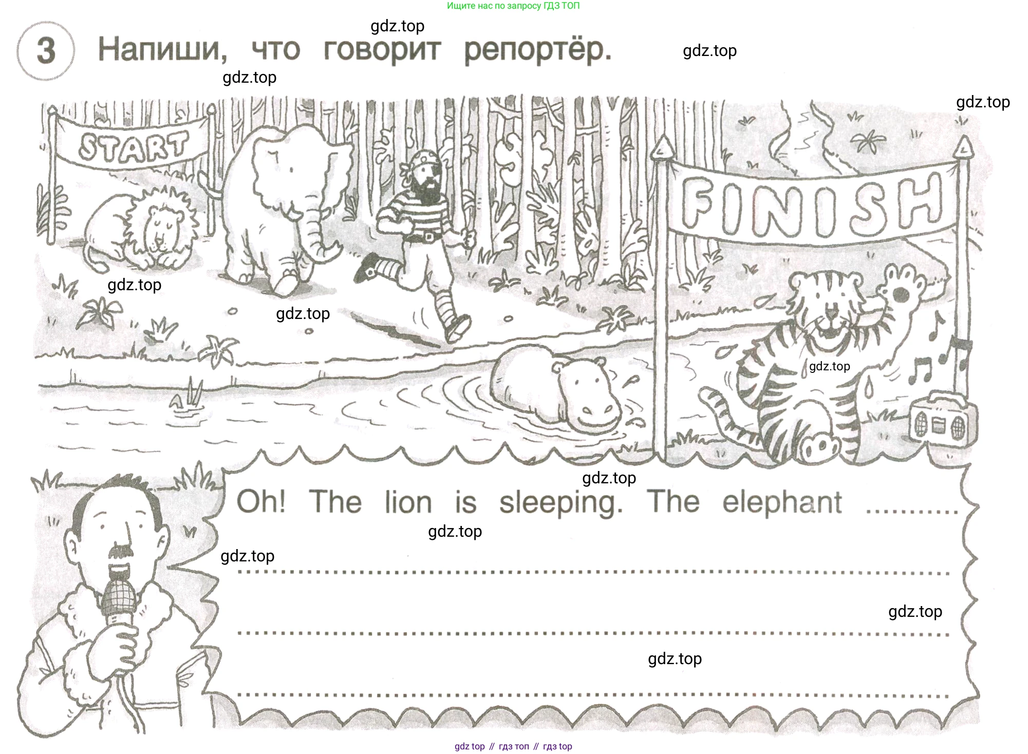 ГДЗ Английский язык (english), 3 класс рабочая тетрадь, авторы: Комарова Юлия Александровна, Ларионова Ирина Владимировна, издательство Русское слово, Москва, 2022, голубого цвета, страница 37, номер 3, Условие