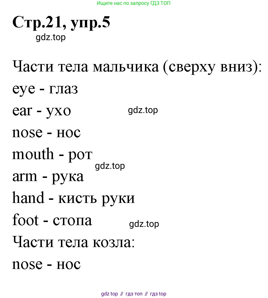 ГДЗ Английский язык (english), 3 класс рабочая тетрадь, авторы: Комарова Юлия Александровна, Ларионова Ирина Владимировна, издательство Русское слово, Москва, 2022, голубого цвета, страница 21, номер 5, Решение